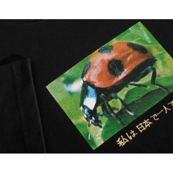 Polar Ladybug T-Shirt Black