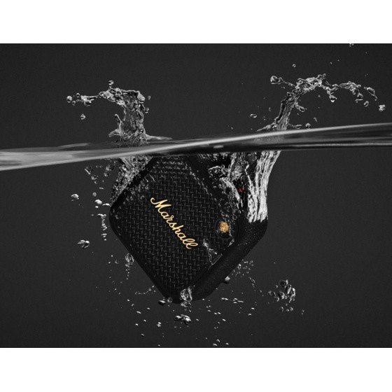 Marshall Willen 2 Black And Brass