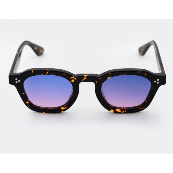 Akila Logos Tokyo Tortoise Sunset