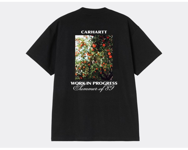 Carhartt WIP Warm Views T-Shirt Black