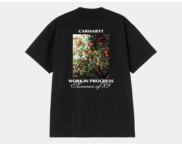 Carhartt WIP Warm Views T-Shirt Black