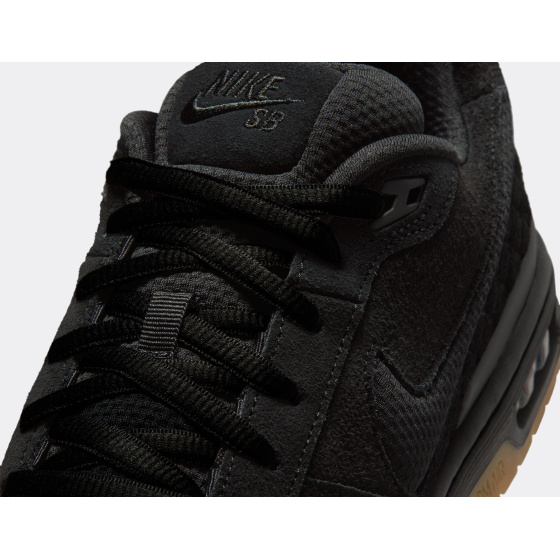 Nike SB Zoom Air Paul Rodriguez Low Black