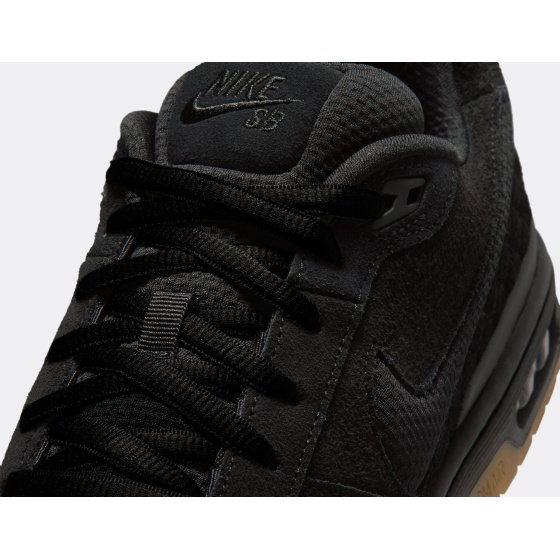 Nike SB Zoom Air Paul Rodriguez Low Black