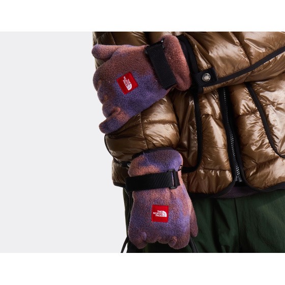 The North Face Red Box Fleece Gloves Grounded Plum